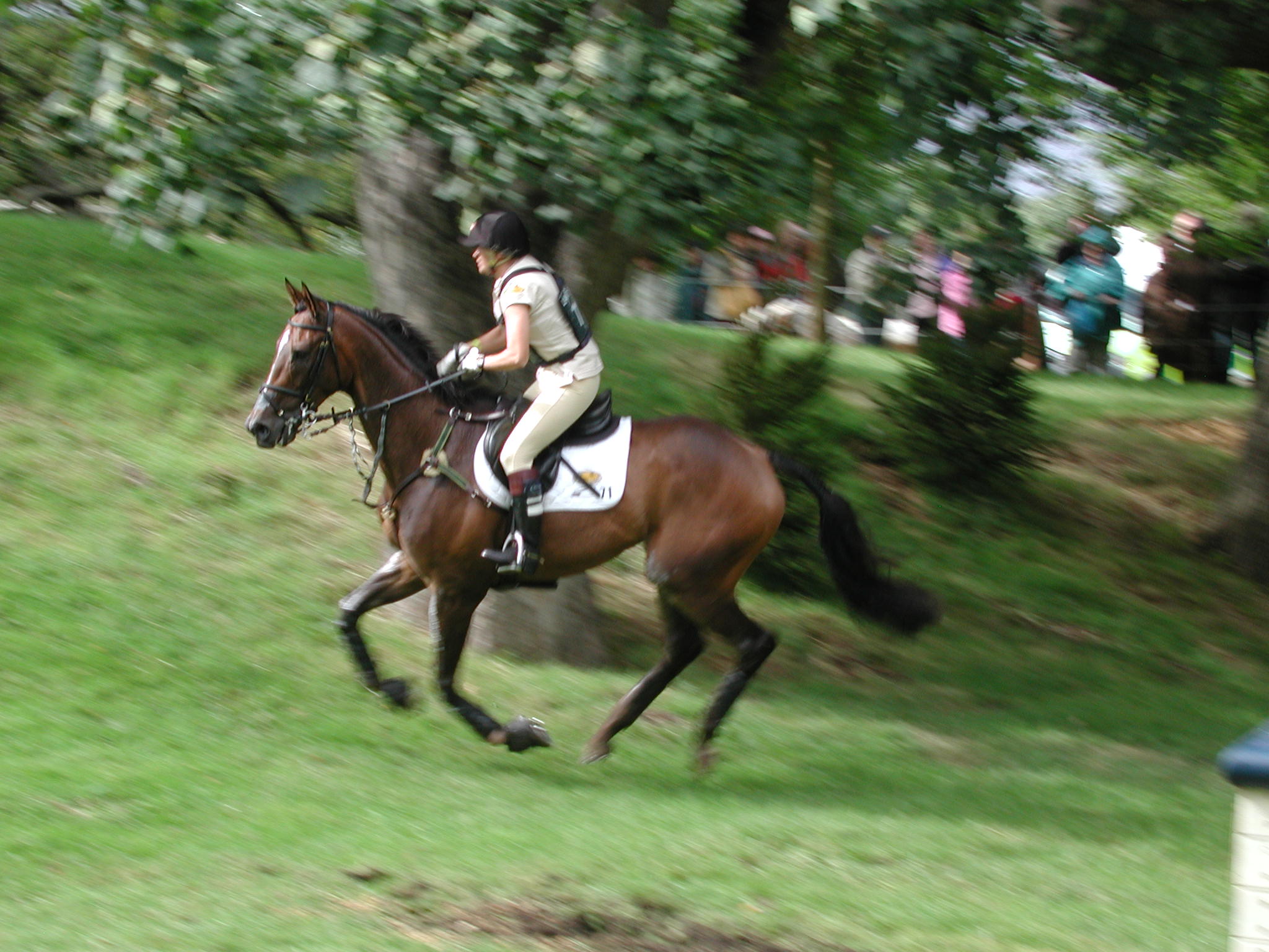 horse-jump-01